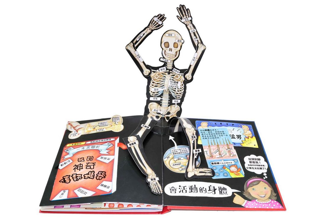 身體原來是這樣